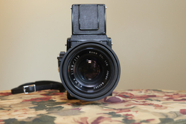 BZ6A6954.JPG