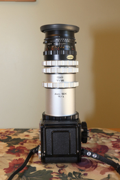 BZ6A6957.JPG