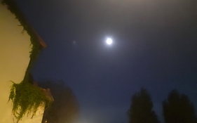 s20250910_063215.jpg