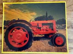 IMG_7579.jpeg