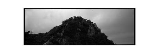 IMG_3994.jpeg