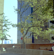 colorscan.jpg
