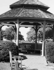 bwscan2.jpg