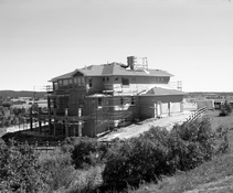 IMG_3871.jpeg