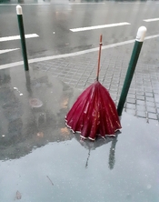 20250924_075753.jpg 20250924_075753.jpg