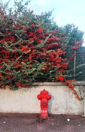 s20250927_184311.jpg s20250927_184311.jpg