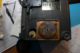 BZ6A7037.JPG