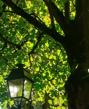 s20250928_095653.jpg s20250928_095653.jpg