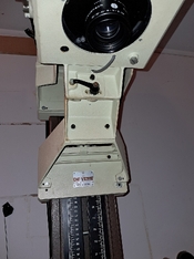 De_Vere_Head_20250930_171708.jpg