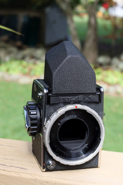 BZ6A7031.JPG