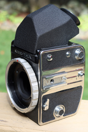 BZ6A7032.JPG