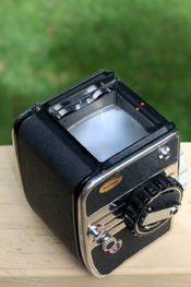 BZ6A7034.JPG