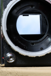 BZ6A7035.JPG