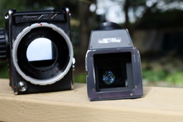 BZ6A7036.JPG
