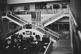 IMG_3915.jpeg