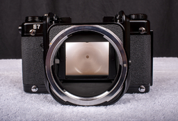 4 Spare Body - Front.jpg