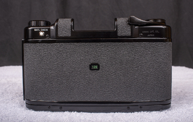 5 Spare Body - Back.jpg