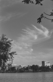 100525_oly5014_lk50_C41_7min_ (3) (Large).jpg