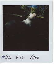 IMG_0002.jpg IMG_0002.jpg