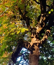 20251017_180638.jpg