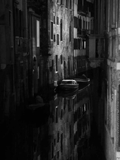 _1100147.jpg
