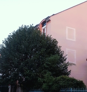 20251024_083701.jpg