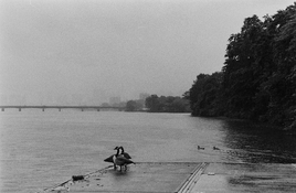 101025_Mx5017_22at200_xtol15_rodinal1100_16min_ (17) (Large).jpg