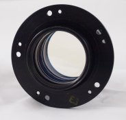 Ilex15-4.jpg