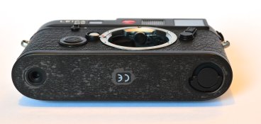 DSC_4803.JPG
