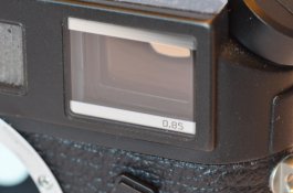 DSC_4805.jpg