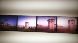 Old Velvia.jpg