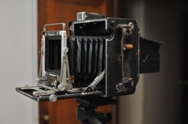 DSC_5536.jpg