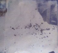 Calotype.jpg