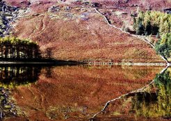 Drystone Wall Buttermere.jpg
