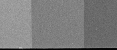11-29-b8-XTOL.jpg