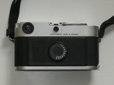 IMG_3452.jpg