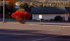 Screenshot 2025-10-24 at 12.49.46 PM.png