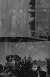 IMGP0182 (Large).jpg