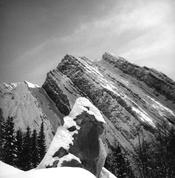 Elephant Rocks #3, 2023.jpg