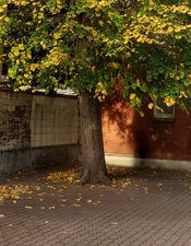 20251104_120610.jpg 20251104_120610.jpg