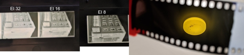 SHD50 CD4-LC negative.jpg