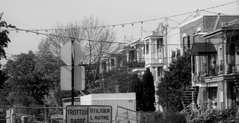 crop SHD50 CD4-LC_.jpg