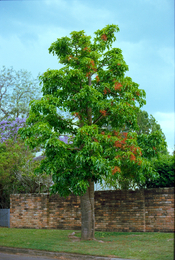 20251111_01.jpg 20251111_01.jpg