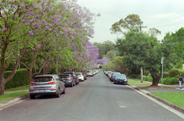 20251111_04.jpg 20251111_04.jpg