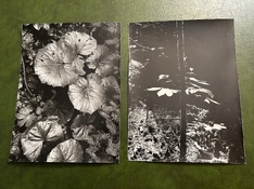 IMG_2308.jpg IMG_2308.jpg