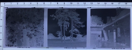 Picture2.jpg Picture2.jpg