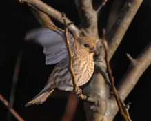 DSC_0273.JPG DSC_0273.JPG