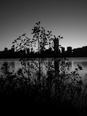 112325_S95_ (10).jpg