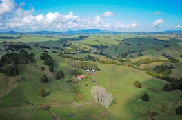 my isolated place Purua....jpg