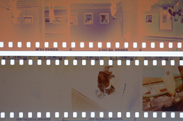 PORTRA VS GOLD (FLEXI)-1.jpg